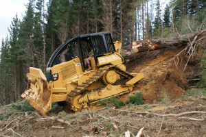 Forestry (2) 